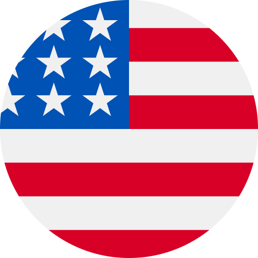 Tampa Bay Flag